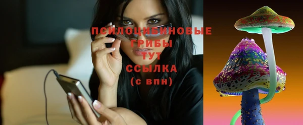 мдпв Балабаново