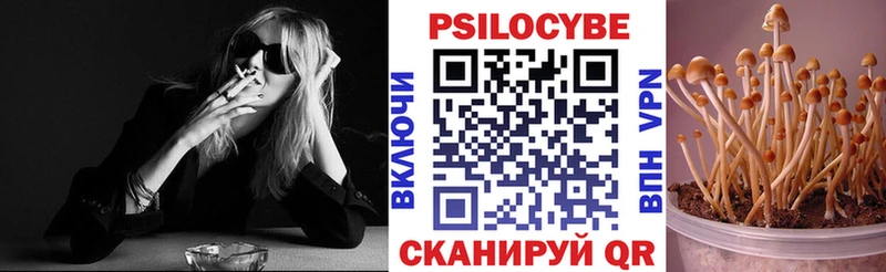 Галлюциногенные грибы мицелий  где можно купить   Ладушкин 